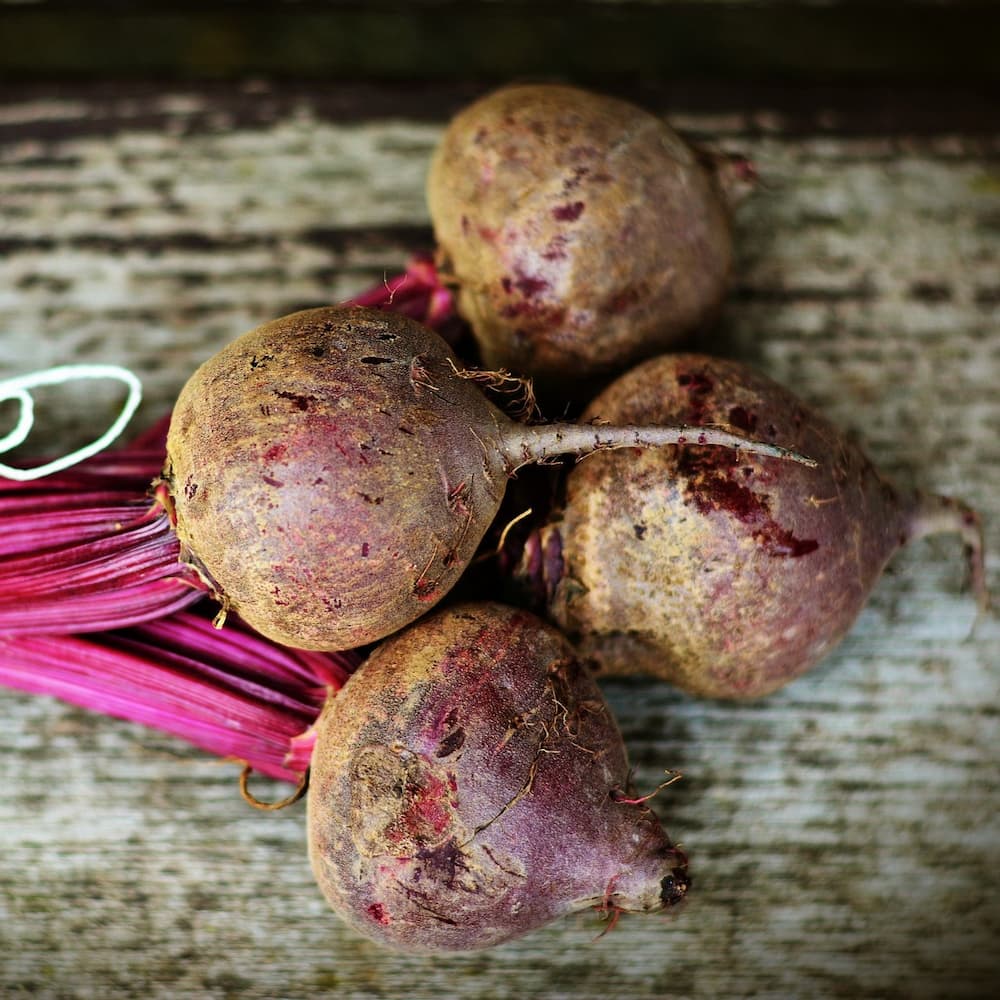 Bio-Rote Bete für Rezeptzwecke von IDO