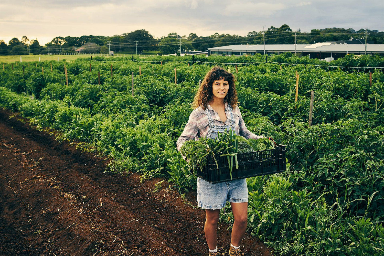 Grüne Säfte in Öko Verpackung