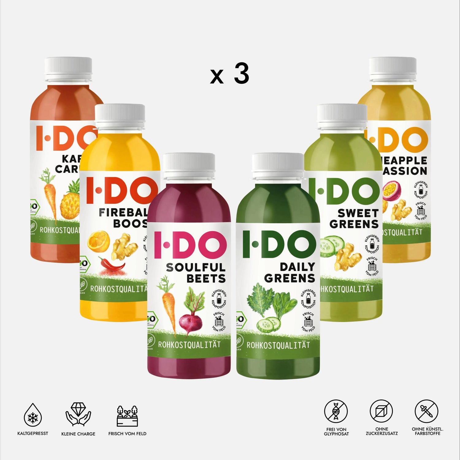 Easy Bio Saftkur - 3 Tage Saftkur