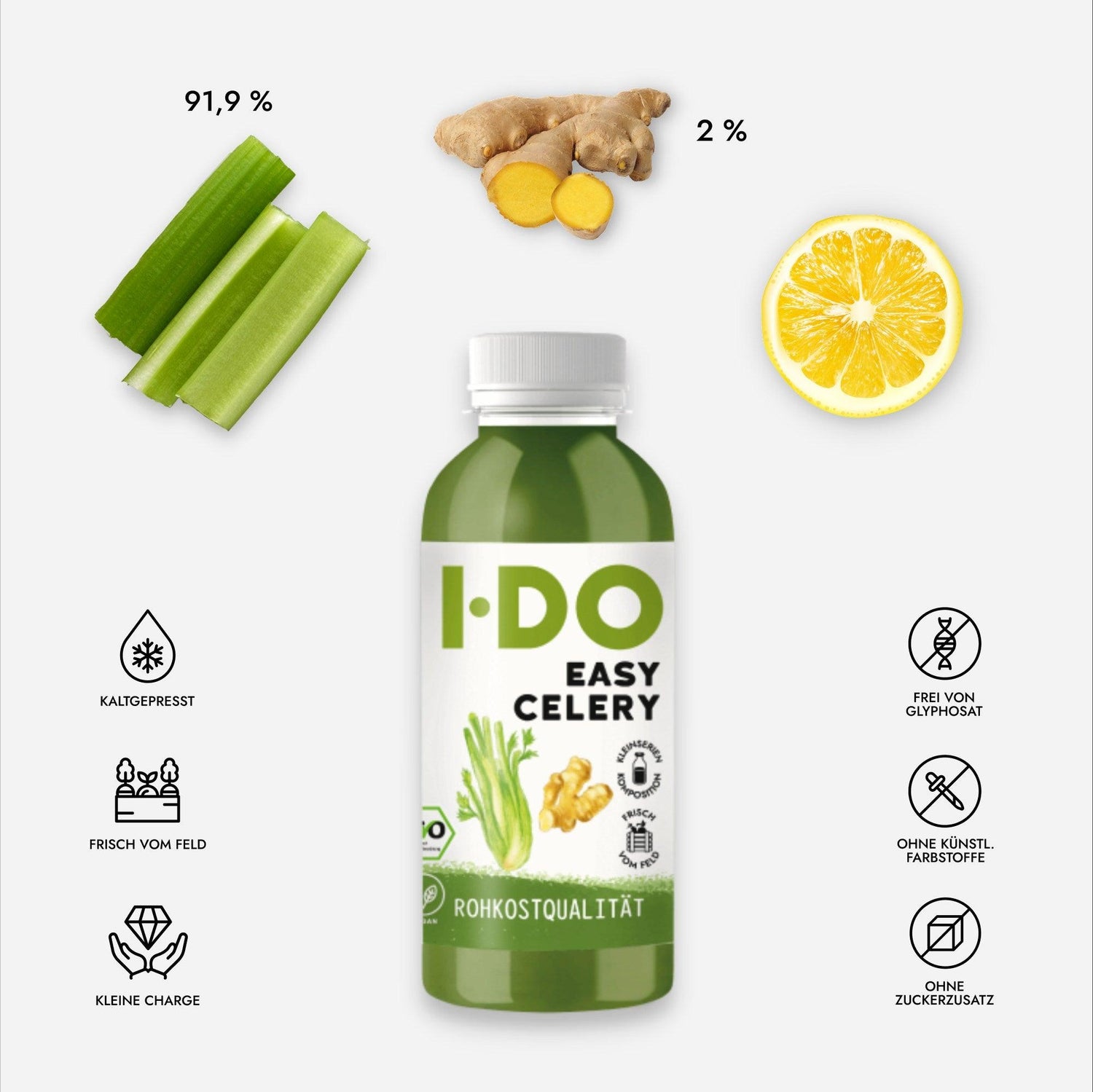 Easy Celery - Fastenkur Saft