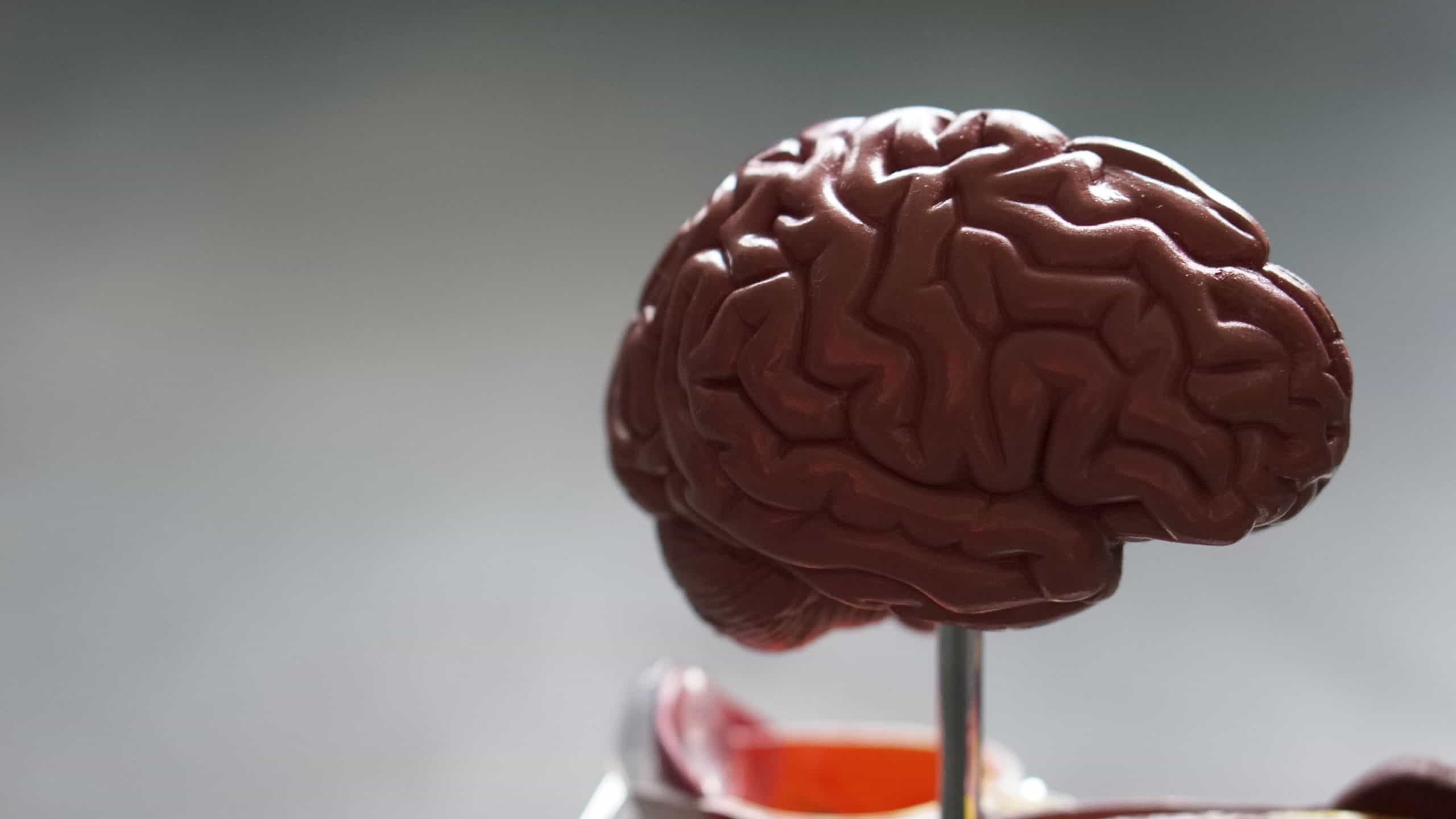Brainfood: Die richtige Ernährung für mehr Gehirnleistung?