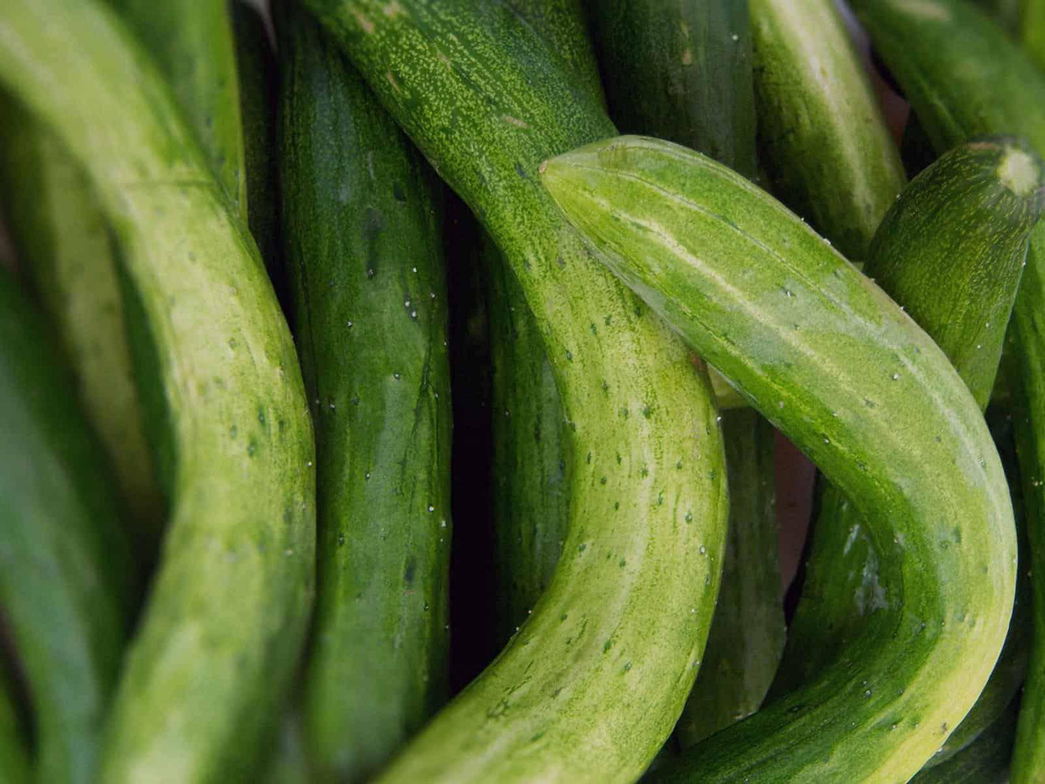 Von krummen Gurken, verwachsenen Karotten und löchrigen Äpfeln