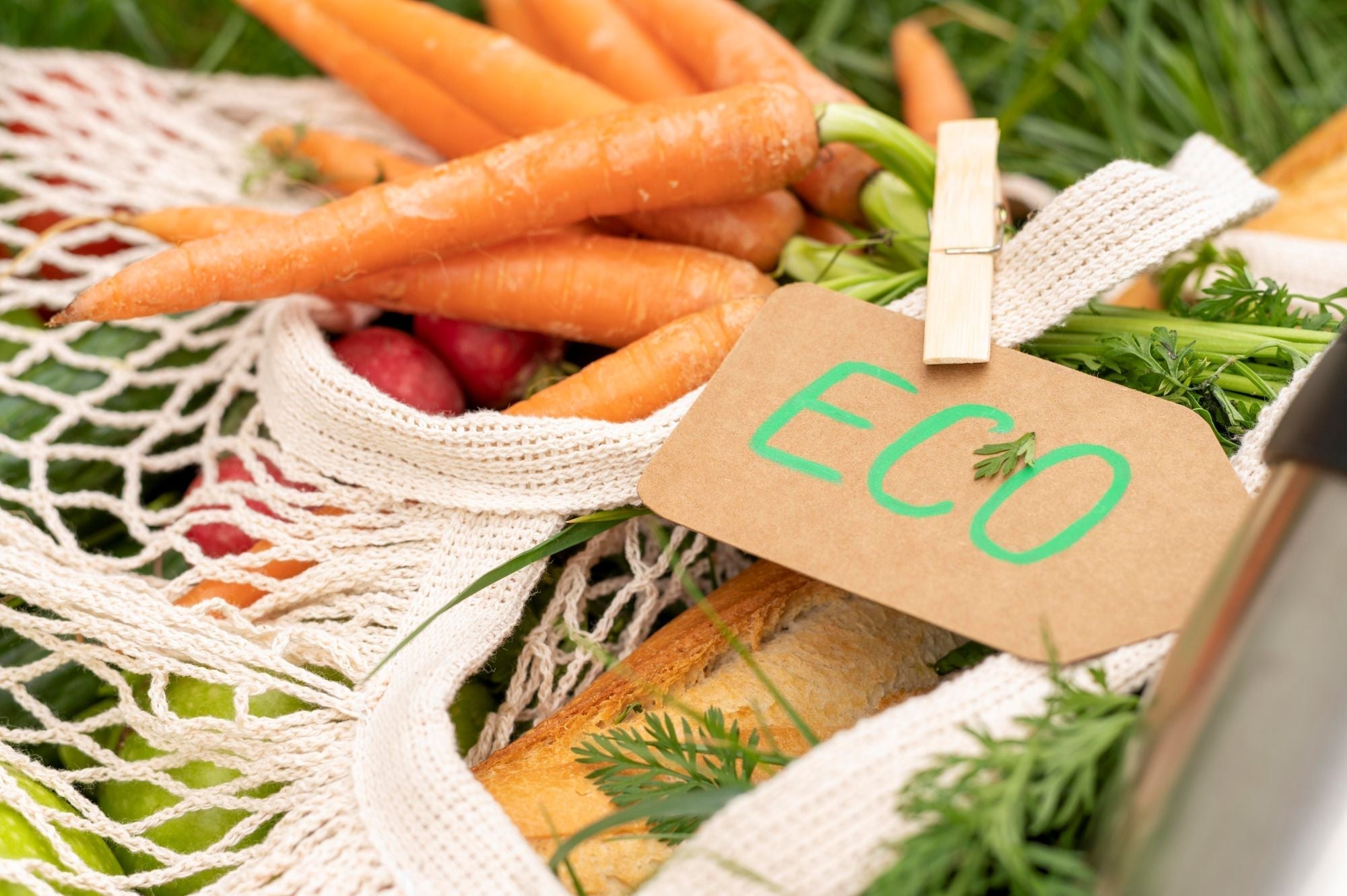 Warum Bio-Lebensmittel besser schmecken: Boden, Nachhaltigkeit & Wissenschaft