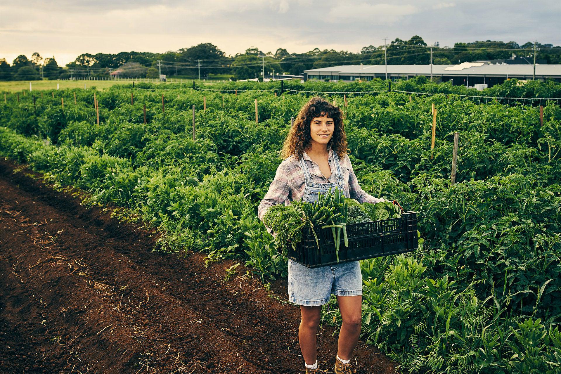 Grüne Säfte in Öko Verpackung