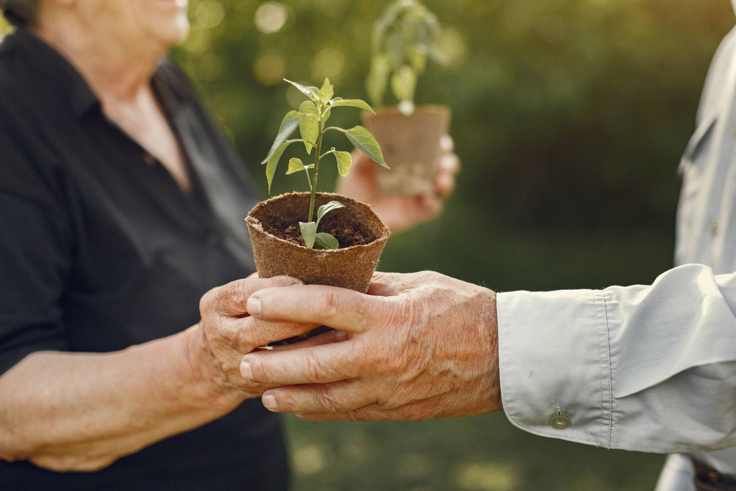 Regenerative Landwirtschaft: Nachhaltig für Mensch und Natur