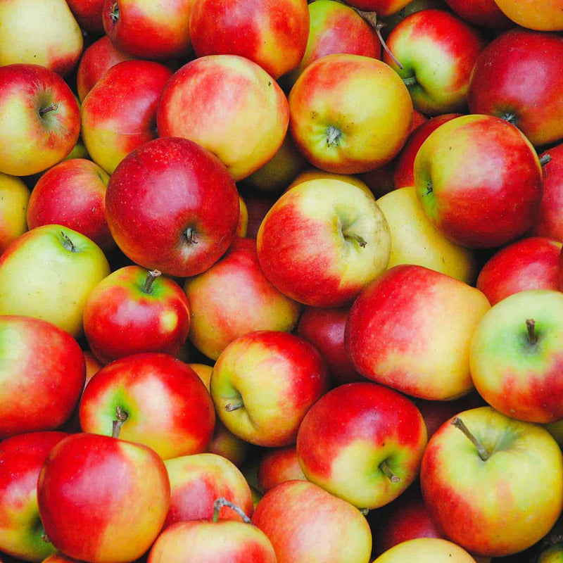 Apfel