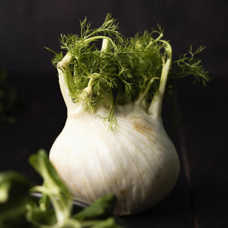 Fennel