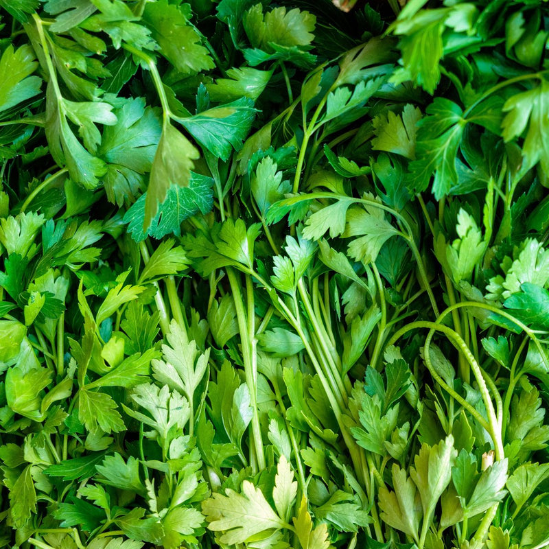 Parsley