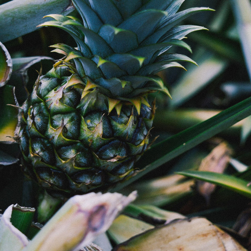 Ananas