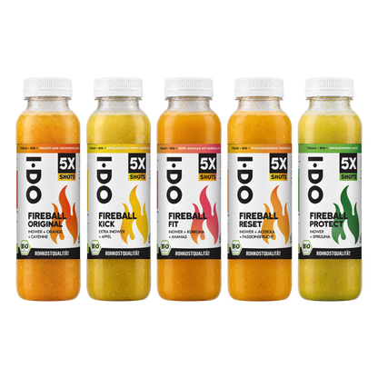Die fünf I·DO Fireball Bio-Ingwer-Maxi-Shots in 300-ml-Flaschen nebeneinander: Original, Kick, Fit, Reset und Protect