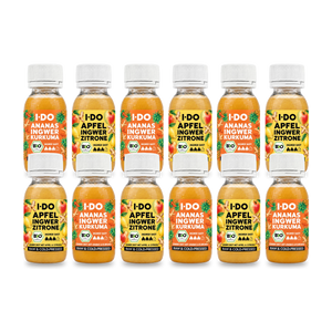 XL Mixed Bio Ingwer Shots Paket