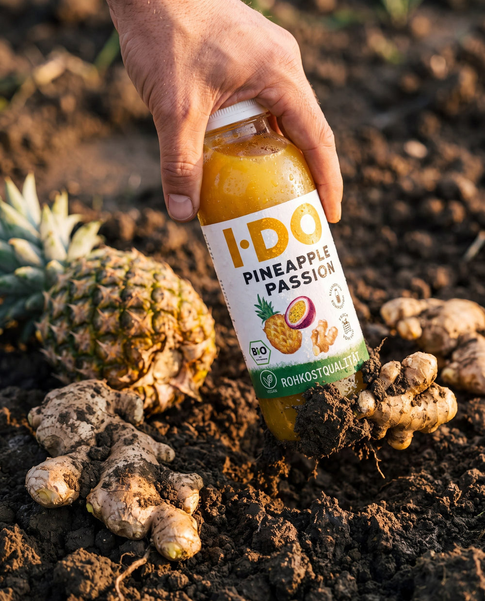 I·DO Pineapple Passion Saft, frisch vom Feld, zwischen seinen rohen Zutaten